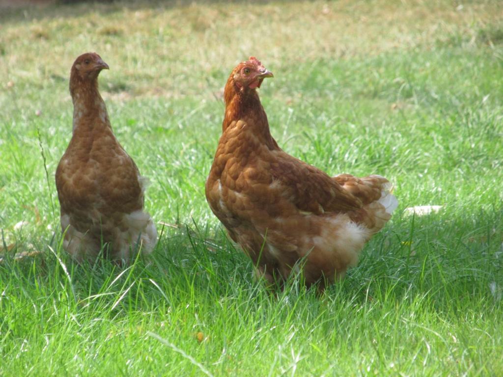 Maison Prairie Bonheur Magny-les-Hameaux Phòng bức ảnh